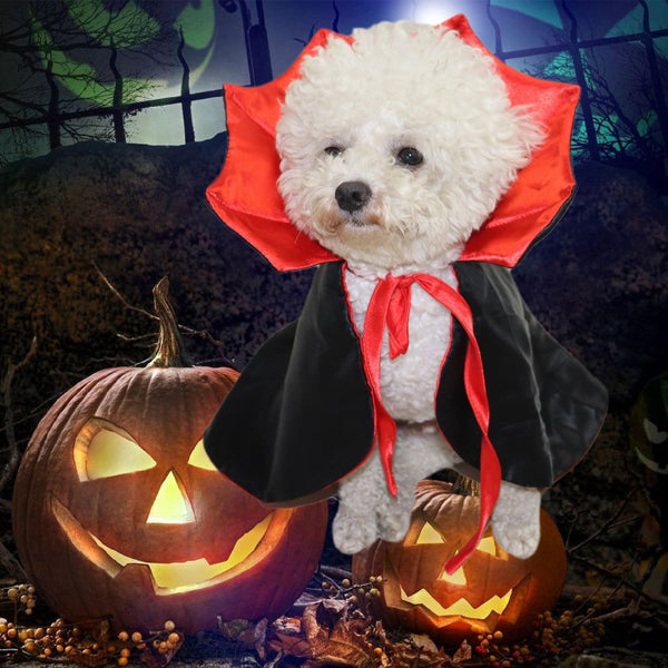 Pet Halloween Vampire Costume