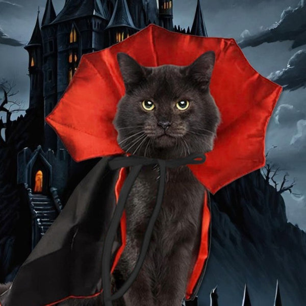 Pet Halloween Vampire Costume