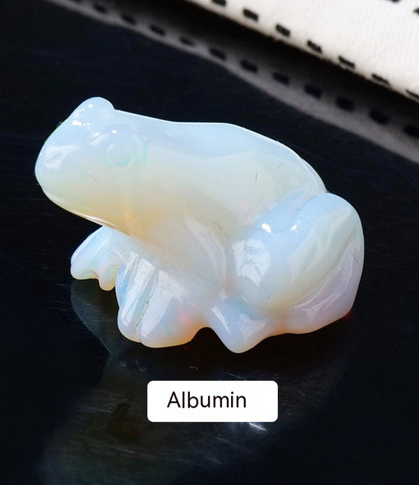 Specimen Popular Science Ornament Children's Gifts